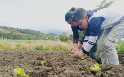 SEMILLERO DE INVESTIGACIÓN EN SOBERANÍA Y AUTONOMÍAS ALIMENTARIAS